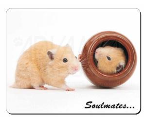 Hamsters in Pot Soulmates