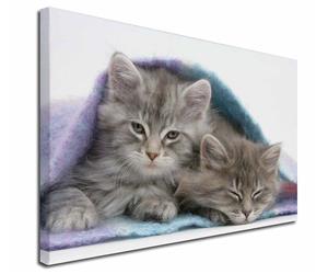 Kittens Under Blanket