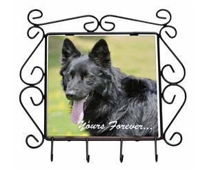 Black German Shepherd 