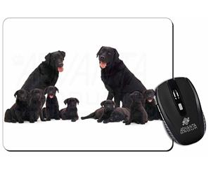 Black Labradors