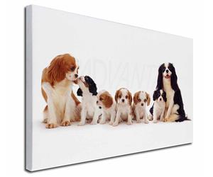 King Charles Spaniel Dogs