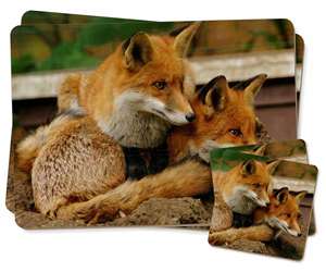 Cute Red Fox Cubs