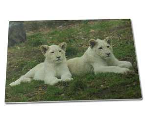 White Lion Cubs