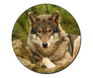 Click Image to See All 38 Different Products with this Wolf Printed Onto