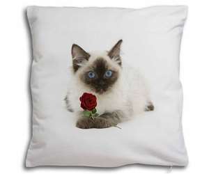 Ragdoll Kitten Cat with Red Rose
