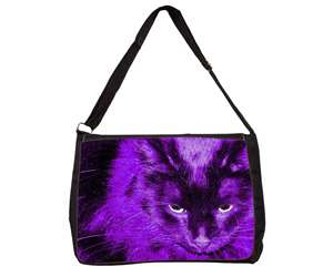 Black Cat in Pink Purple Night Lights