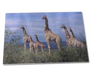 Click to see all products with these Giraffes.