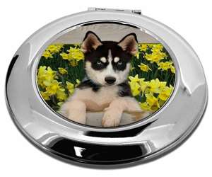 Siberian Husky by Daffodils