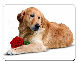 Golden Retriever Dog with Rose