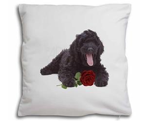 Labradoodle Dog with Red Rose