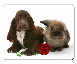 Cocker Spaniel with Rabbit & Red Rose