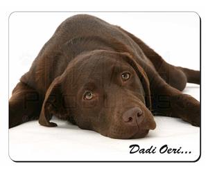 Welsh-Chocolate Labrador 