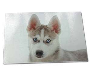 Siberian Husky