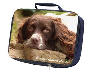 Springer Spaniel 