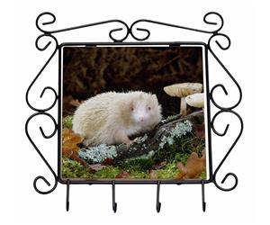 Click to see all products with this White Albino Hedgehog.