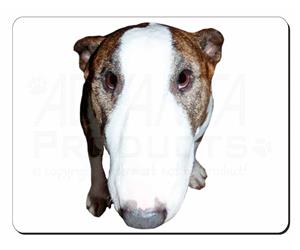 Bull Terrier Dog