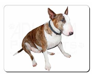 Bull Terrier Dog