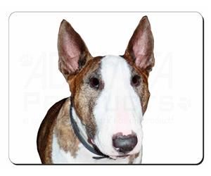 Bull Terrier Dog