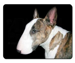 Bull Terrier Dog