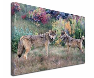 Click Image to See All the Stunning Wolves and Wolf Images in this Section