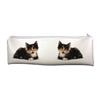 Tortoiseshell Kitten Large PVC Cloth School Pencil Case AC-125CA