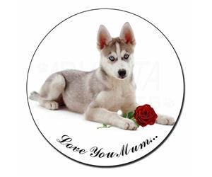 Husky with Red Rose 