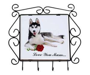 Husky with Rose 