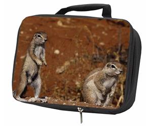 Click Image to See All the Different Chipmunk Products in this Section
