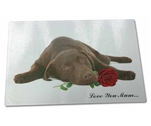 Choc Labrador with Rose 