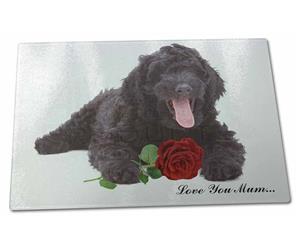 Labradoodle with Rose 