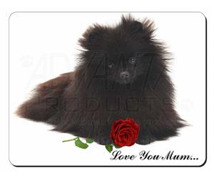 Pomeranian Dog with Rose 