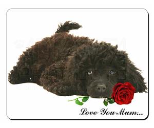 Poodle with Rose 