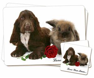 Spaniel+Rabbit+Rose 