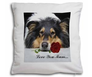 Rough Collie with Rose 