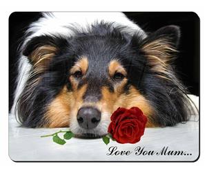 Rough Collie with Rose 