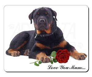 Rottweiler with Rose 