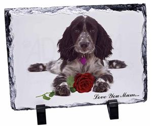 Cocker Spaniel with Rose 