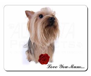 Yorkie with Rose 