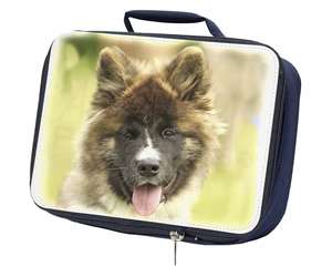 Beautiful Akita Dog