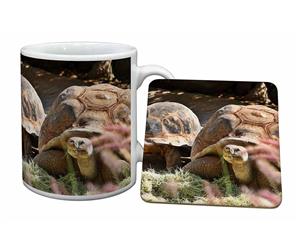 Click image to see all products with these Giant Tortoise.