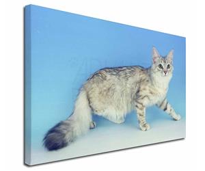 Click to see all products with this Siberian Silver cat.