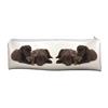 Large PVC School Pencil Case Labrador Puppy & Kitten