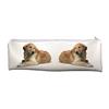 Golden Retriever Dog Extra Long, Large Pencil Case School or Office