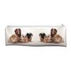 Guinea Pigs Large, Long School Pencil Case Cute Christmas Gift