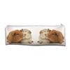 Large, Long School Pencil Case, Cute Guinea Pigs