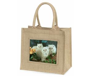 Click to see all products with these Persian Kittens.