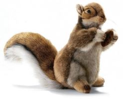 Hansa Realistic Life-Like Squirrel with Nut Childrens Soft 