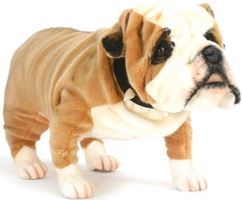 Hansa Realistic Life-Size British Bulldog Plush Sturdy Toy Dog 5626