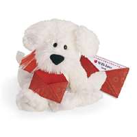 Cute Message Bear White Dog With A Love-Note to Write On
