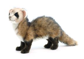 Hansa Gorgeous Realistic Standing Ferret Soft Plush Toy 4346